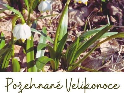 Velikonoční Fairtradová přestávka naladila školu na jarní vlnu
