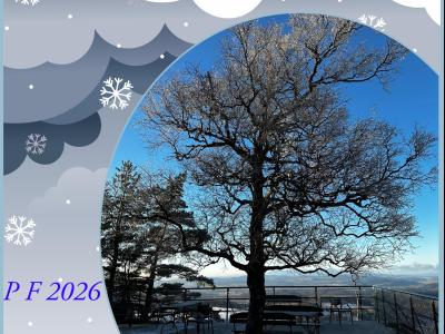 Vstupujeme do nového roku